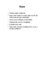 Referāts 'Referāts par svecēm', 7.