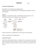 Konspekts 'Ogļhidrāti', 1.