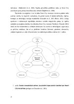 Diplomdarbs 'Digitālās tehnoloģijas kā Kopenhāgenas valsts sektora inovatīvs risinājums', 17.