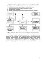 Konspekts 'Cenu veidošanas politika lauksaimniecības kultūrai', 13.