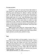 Referāts 'Paula Bankovska romāna "Sekreti" analīze', 2.