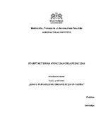 Referāts 'Starptautiskās aviācijas organizācijas', 1.