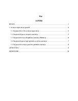 Referāts 'Starptautiskās aviācijas organizācijas', 2.