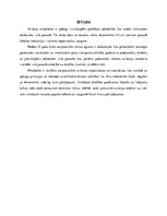 Referāts 'Starptautiskās aviācijas organizācijas', 3.