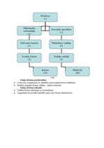Referāts 'SIA "LAAB" personāla politikas analīze', 5.