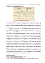 Referāts 'Izpētes darbs uzņēmējdarbībā', 6.