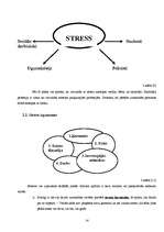 Referāts 'Stress Priekuļu vidusskolas vidē', 14.