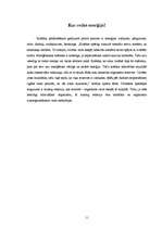 Referāts 'Enerģijas dzērieni', 11.