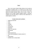 Referāts 'Enerģijas dzērieni', 19.