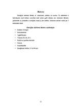 Referāts 'Enerģijas dzērieni', 22.