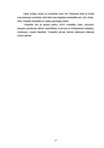 Referāts 'Enerģijas dzērieni', 27.