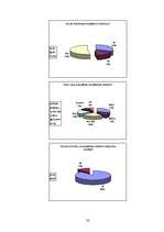 Referāts 'Enerģijas dzērieni', 32.