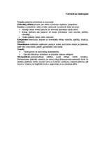 Prezentācija 'Hercoga Jēkaba politika', 18.