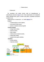 Referāts 'Koksnes atkritumi', 3.