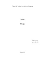 Referāts 'Selerijas', 1.