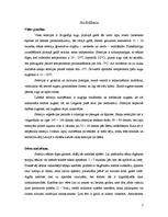 Referāts 'Selerijas', 7.