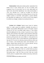 Referāts 'Drošības policija', 6.