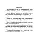 Biznesa plāns 'IU lauku māja "Elija"', 4.