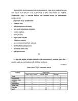 Biznesa plāns 'IU lauku māja "Elija"', 21.