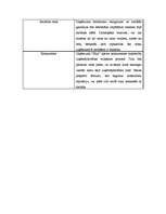 Biznesa plāns 'IU lauku māja "Elija"', 26.