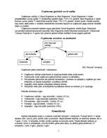 Biznesa plāns 'Biznesa plāns atpūtas kompleksam', 5.