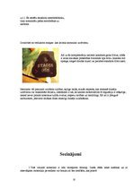 Referāts 'Motocikli, to dzinēji', 18.