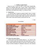 Referāts 'Olimpiskās spēles 2008.gadā', 5.