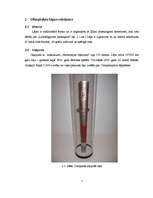 Referāts 'Olimpiskās spēles 2008.gadā', 7.
