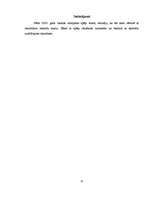 Referāts 'Olimpiskās spēles 2008.gadā', 11.