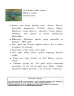 Konspekts '19.gadsimta notikumi pasaulē', 14.