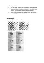 Konspekts 'Runas dikcija', 3.