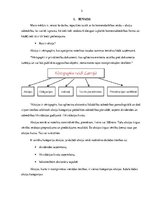 Referāts 'Akciju sabiedrības jēdziens un nozīme', 3.