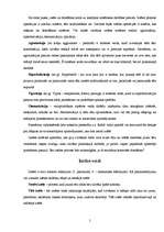 Referāts 'Iztēle', 5.