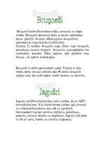 Referāts 'Dienvidamerikas dzīvnieki', 2.