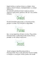 Referāts 'Dienvidamerikas dzīvnieki', 3.