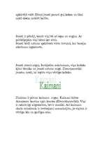 Referāts 'Dienvidamerikas dzīvnieki', 4.