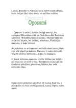 Referāts 'Dienvidamerikas dzīvnieki', 6.