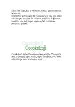 Referāts 'Dienvidamerikas dzīvnieki', 8.