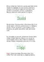 Referāts 'Dienvidamerikas dzīvnieki', 11.