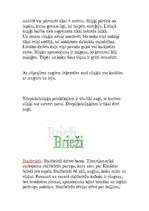 Referāts 'Dienvidamerikas dzīvnieki', 12.