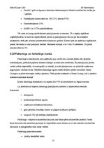 Prakses atskaite 'Prakse a/s "Hansabanka"', 23.