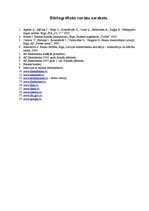 Prakses atskaite 'Prakse a/s "Hansabanka"', 39.