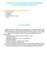 Referāts 'Saules elektroenerģija', 5.