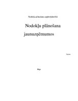 Referāts 'Nodokļu plānošana jaunuzņēmumos', 1.
