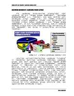 Referāts 'Saldējuma tirgus Latvijā - SIA Margota', 3.