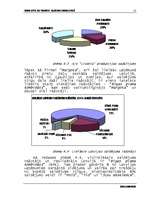 Referāts 'Saldējuma tirgus Latvijā - SIA Margota', 4.