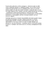 Eseja 'Etniskā daudzveidība seno austrumu civilizācijas telpā', 2.