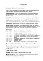 Paraugs 'Piemiņas brīdis/koncerts - "Cilvēks aiziet. Paliek dziesma"', 4.