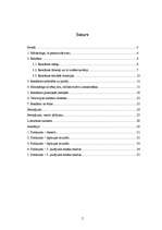 Referāts 'Reklāmas iedarbība uz patērētāju', 2.