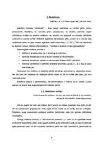 Referāts 'Reklāmas iedarbība uz patērētāju', 6.